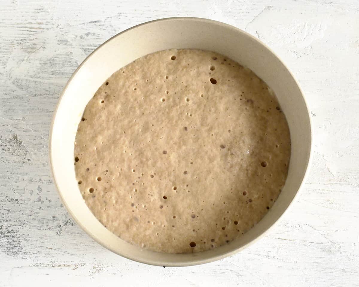 frothy yeast