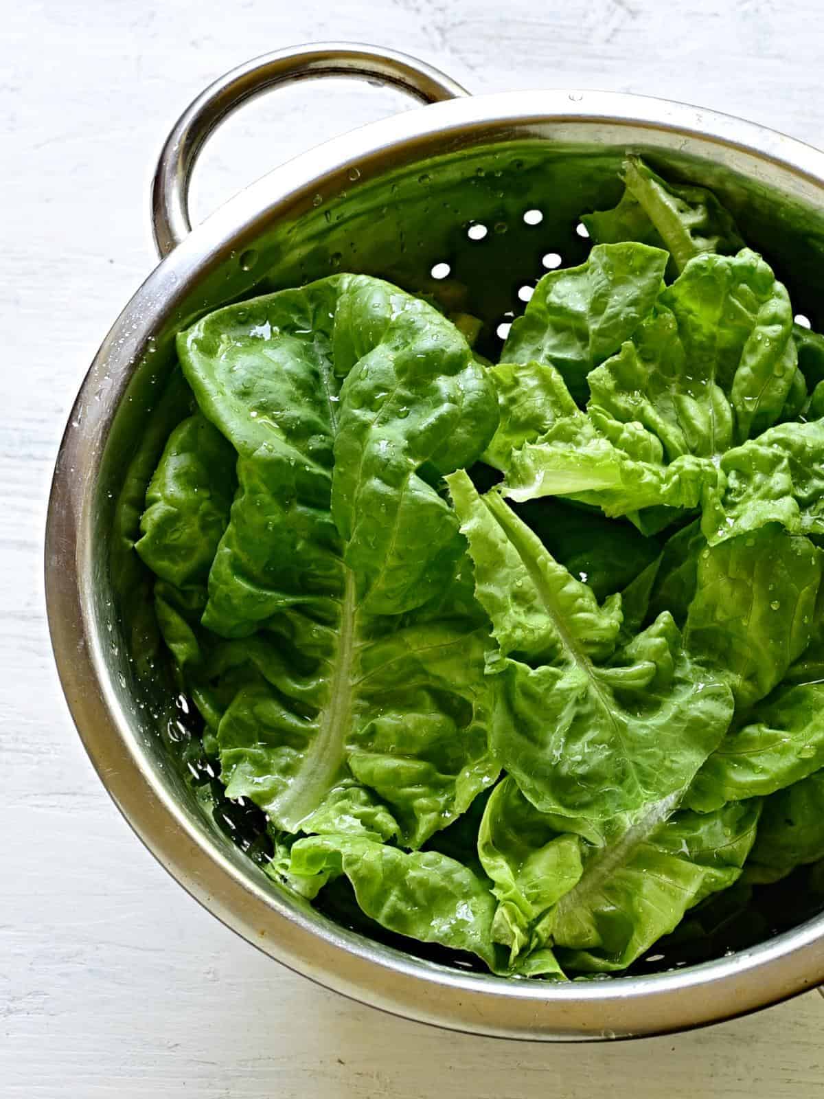 head lettuce leaves in a collander
