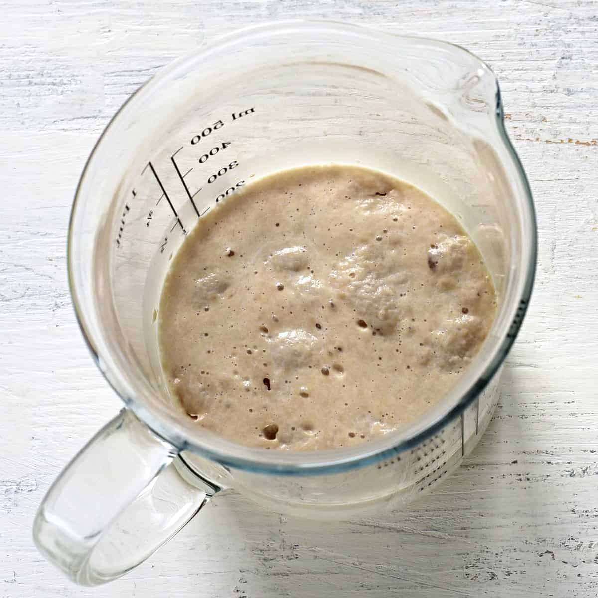 Activated instant yeast.
