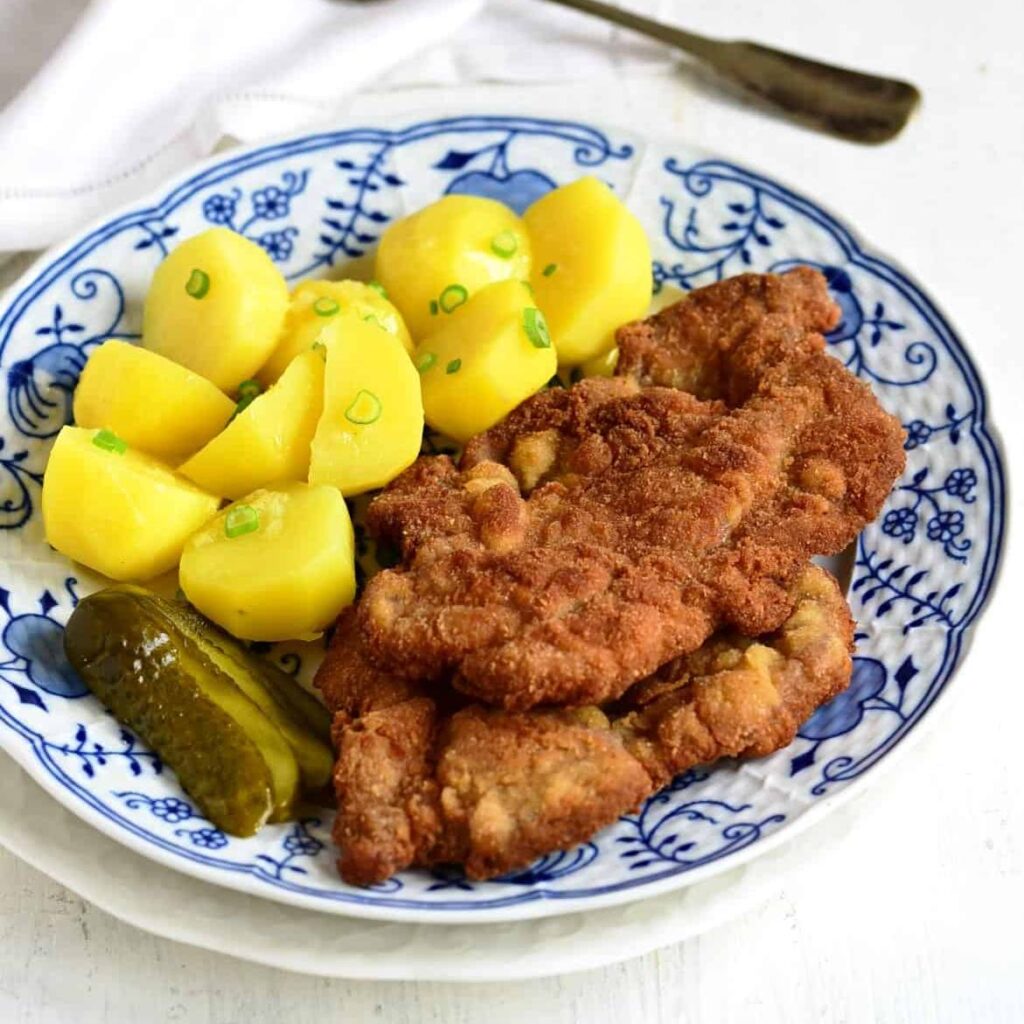 TOP 6 Best Authentic Schnitzel Recipes