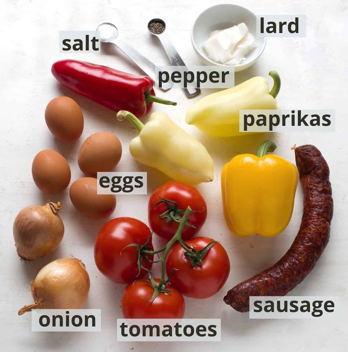 Ingredients for lecho with captions.