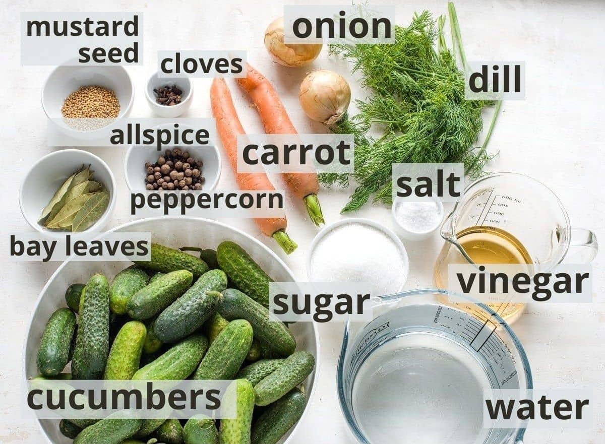 Ingredients for dill pickles including captions.
