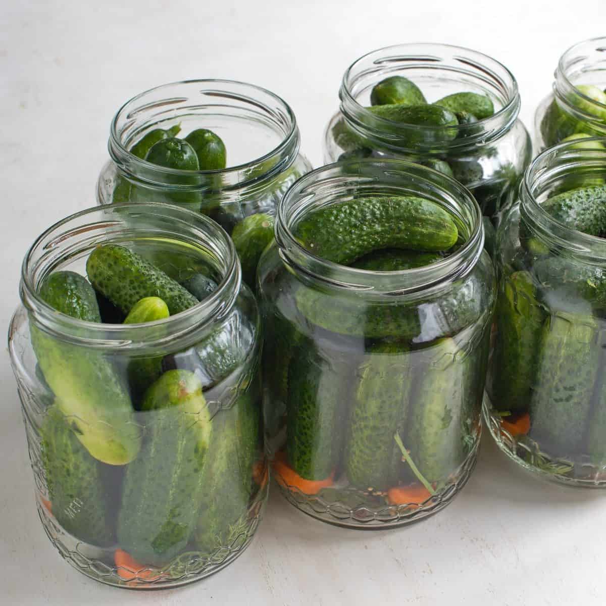 Jars with pickles.