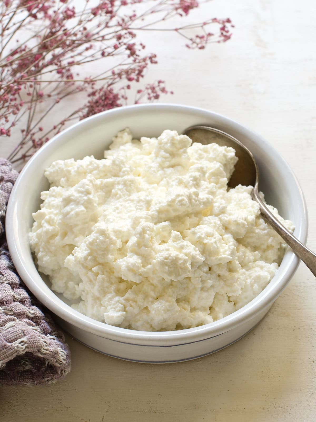 Creamy Czech cottage cheese (tvaroh) in a white bowl for traditional Czech cuisine.