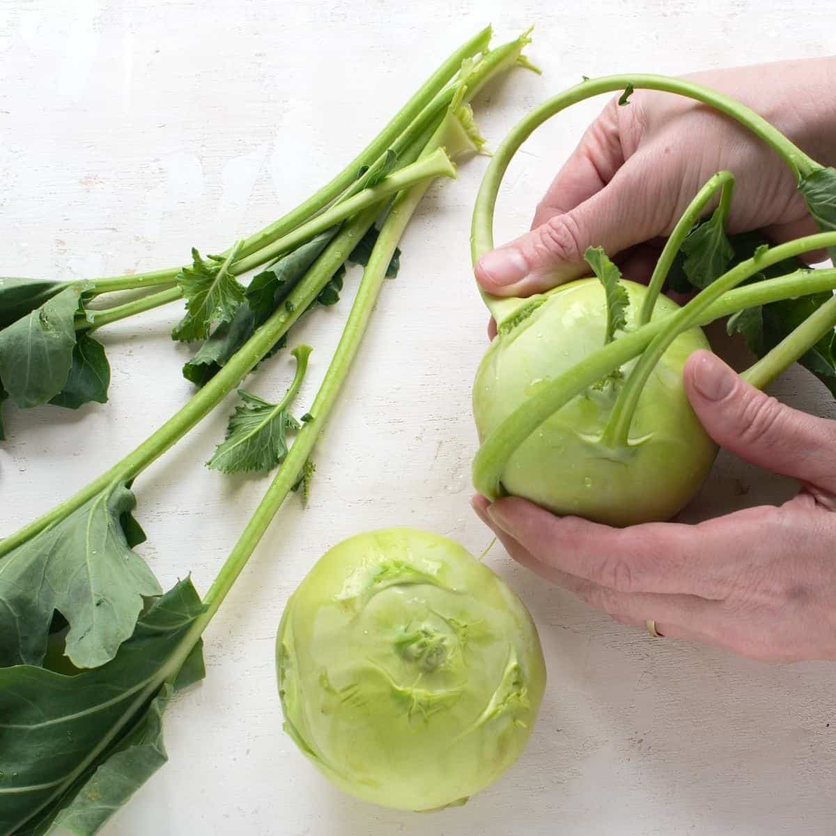 Removing stems with leaves from kohlrabi.