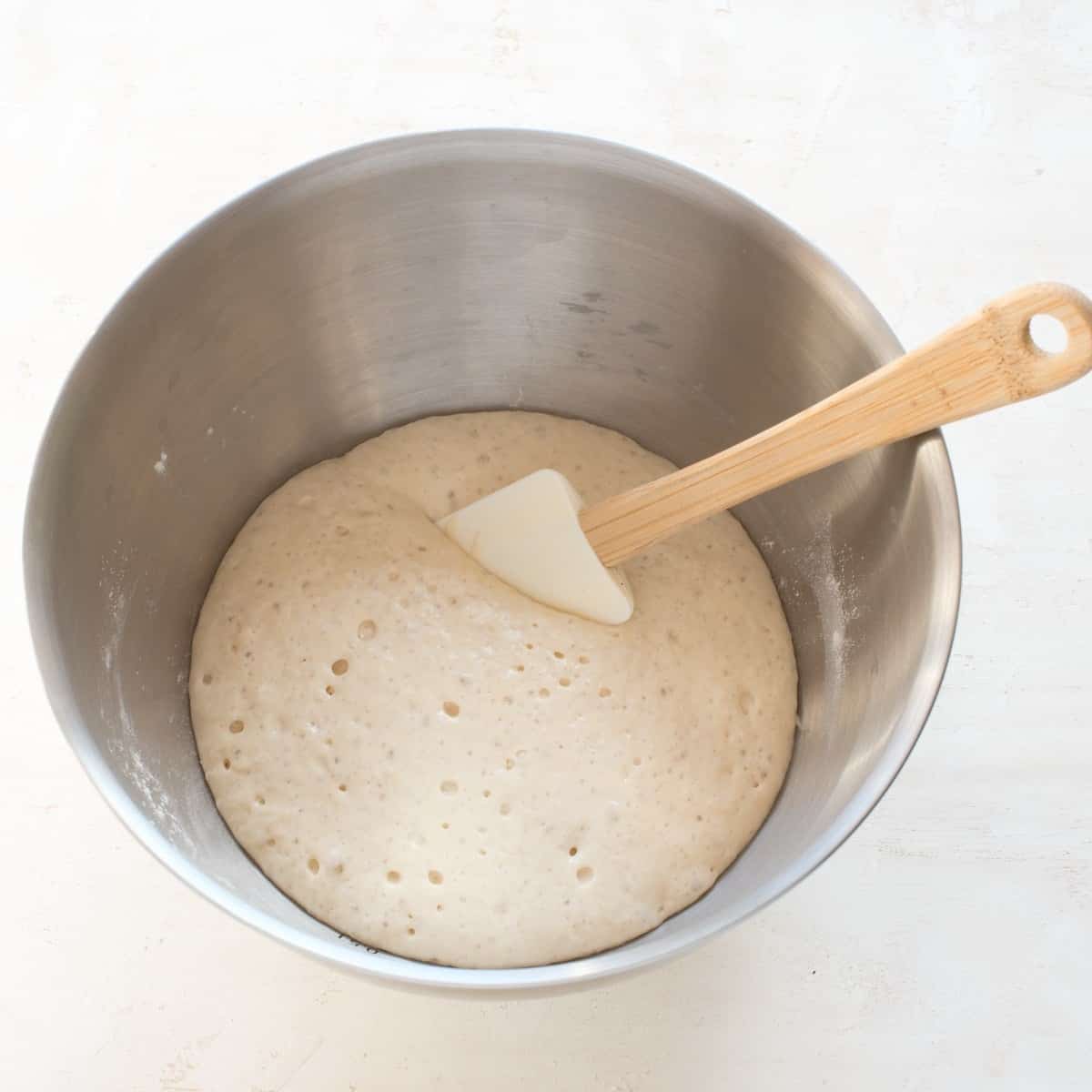 Raised yeast starter in a stainless bowl.