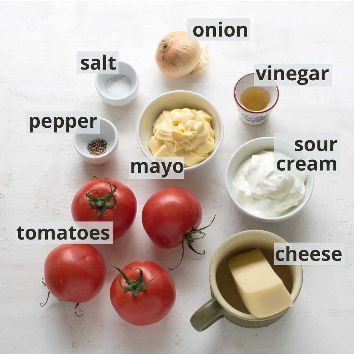 Ingredients for tomato salad with cheese, inclusive captions.