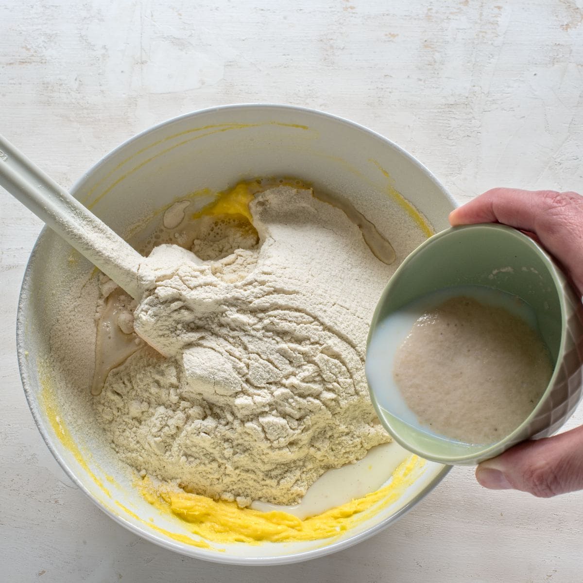 Adding yeast starter to the other ingredients for Lomnice Rings. I a white bowl.