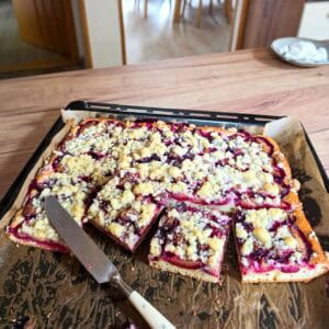 Czech yeast plum cake baked on a sheet, sliced into squares.